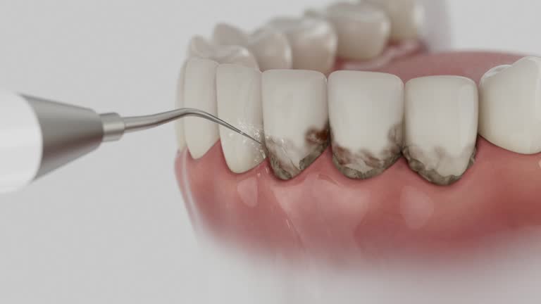 Reliable Dental contractor in Midway South, TX by Dentist Open Now